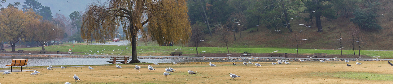 Landscape with trees and park benches around a lake with a large hill in the background.